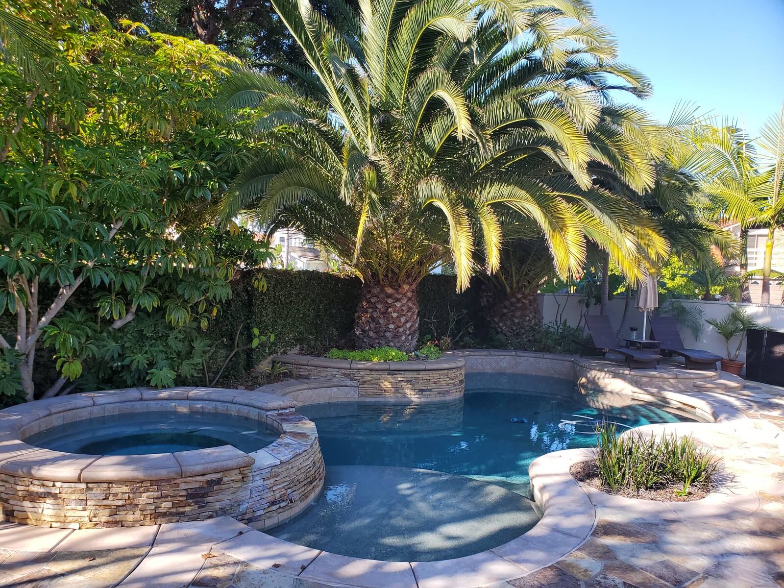 Beautiful backyard pool spa